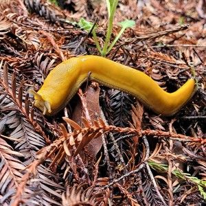 Meet your Posher, Hilary